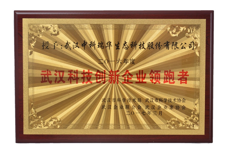 13.武汉科技创新企业领跑者.JPG