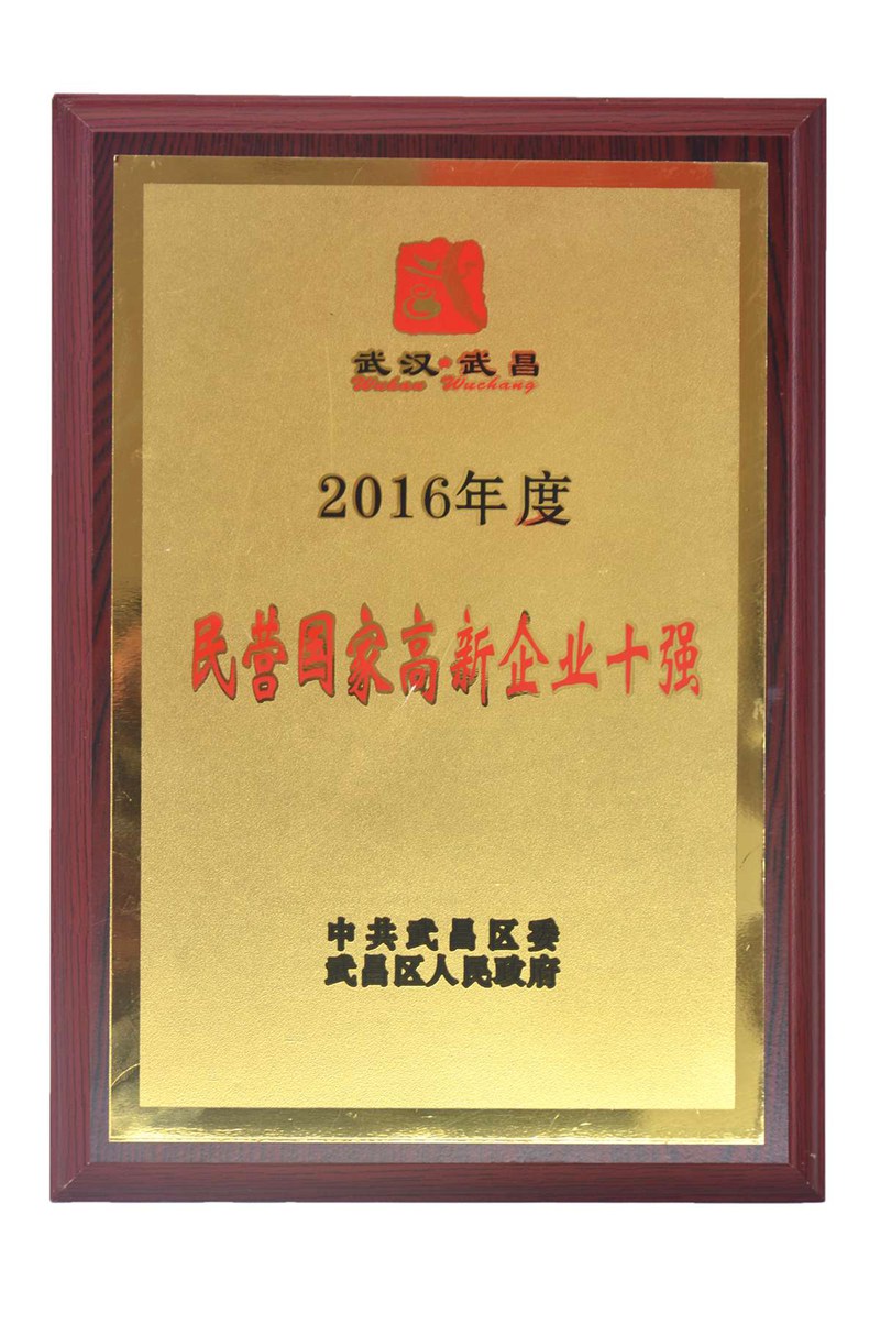 14.武昌区2016年民营高新企业10强.JPG