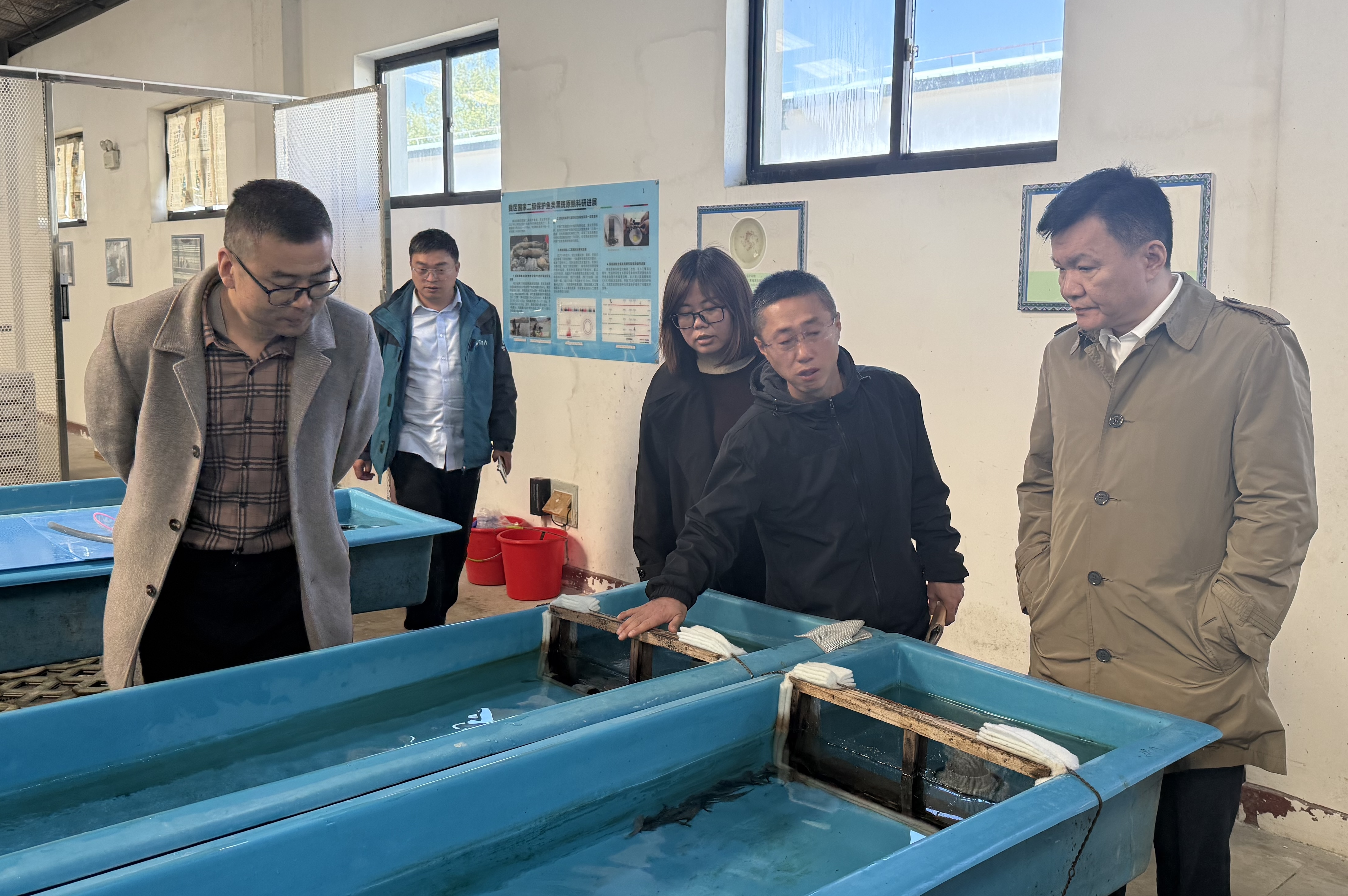 与西藏水产所交流并考察黑斑原鮡繁育基地4.jpg