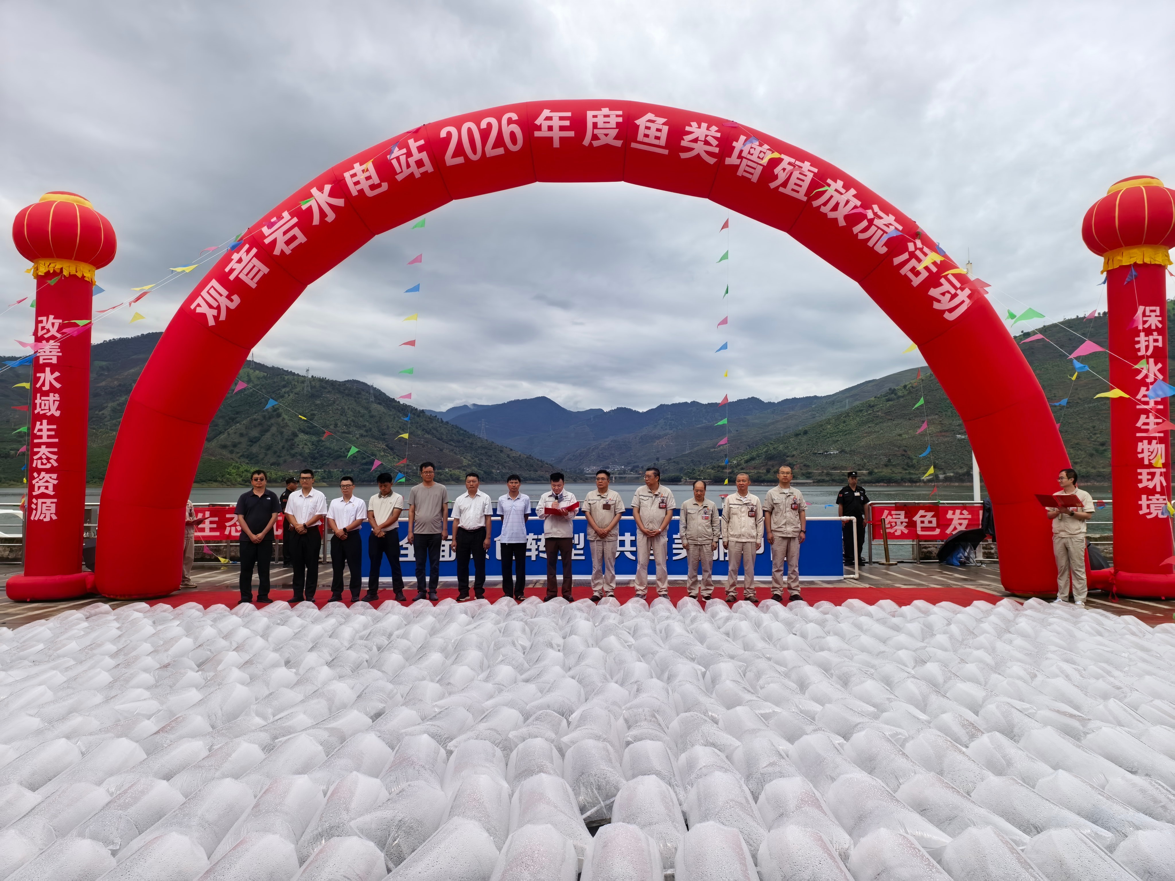 鱼苗图1.jpg
